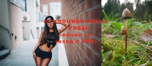 твердый Балабаново
