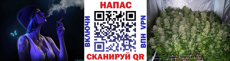 blacksprut ссылки  Калининец  даркнет телеграм  сколько стоит  Канабис VHQ 